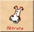 Nitrate - R-Hudi d'Eugène Gire - 1945